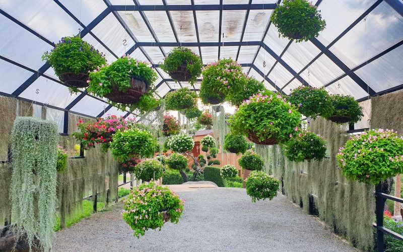 What is an Indoor Greenhouse Called