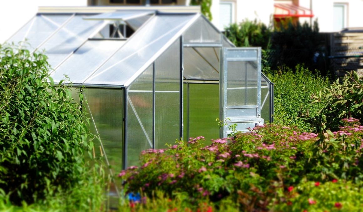 Where to Buy Greenhouse Plastic