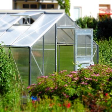 Where to Buy Greenhouse Plastic