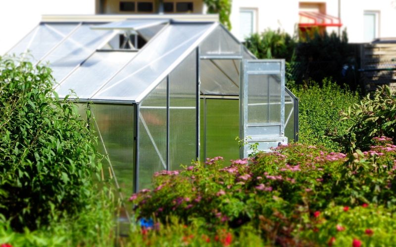 Where to Buy Greenhouse Plastic