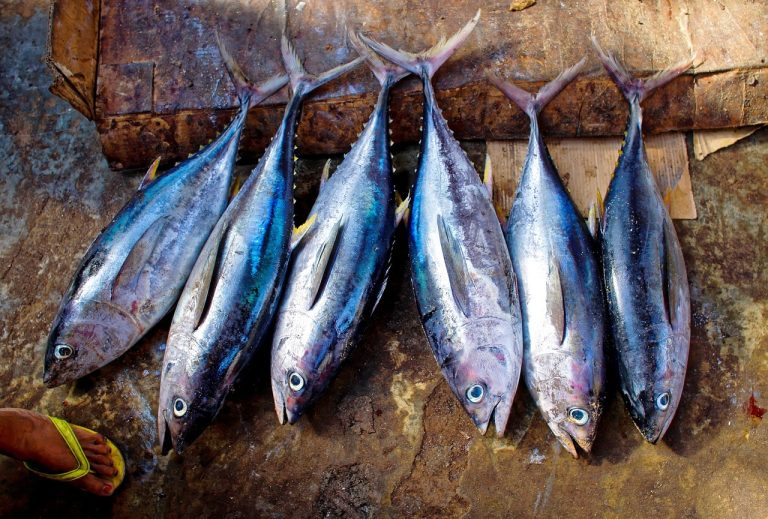 Best Substitutes for Tuna