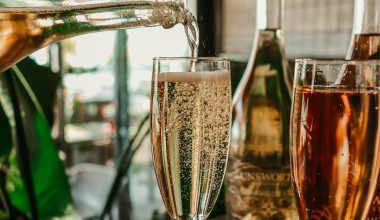 Different Types of Sparkling Wine