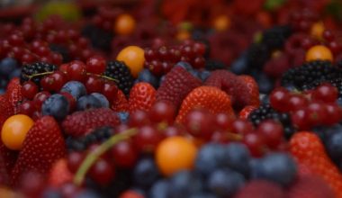 Fruits That Contain Vitamin D