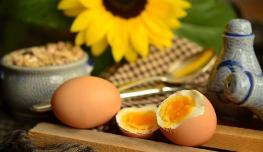 How Many Calories in Two Eggs
