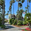 Street Foods in Los Angeles