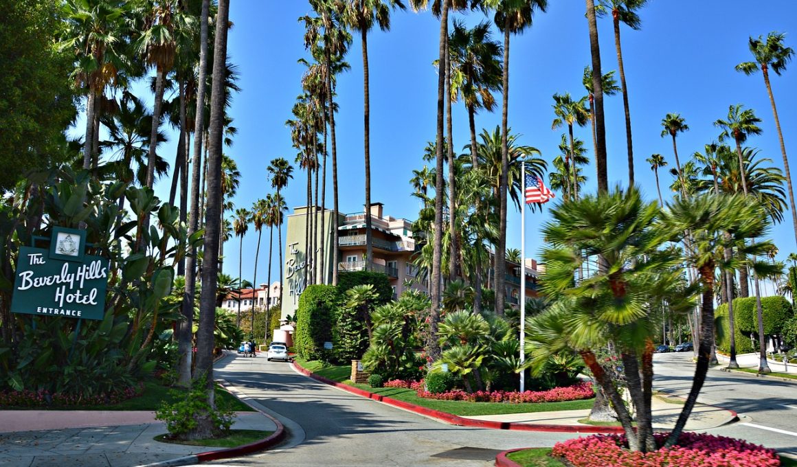 Street Foods in Los Angeles