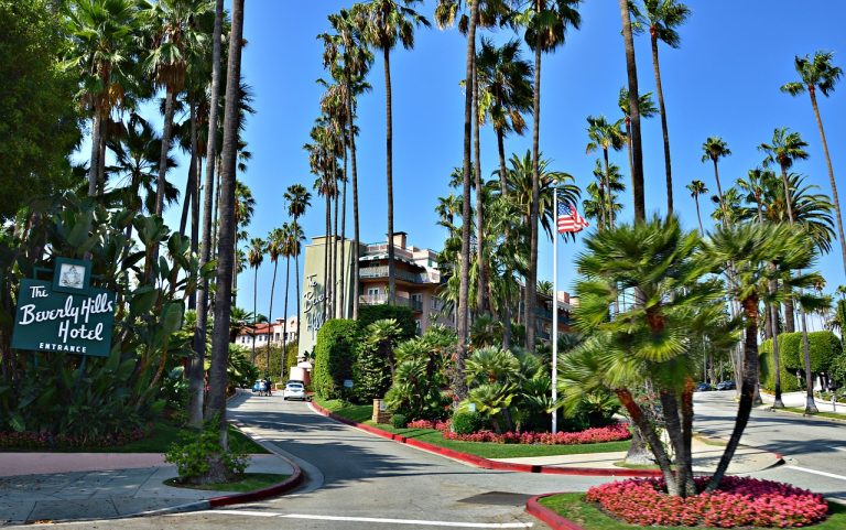 Street Foods in Los Angeles