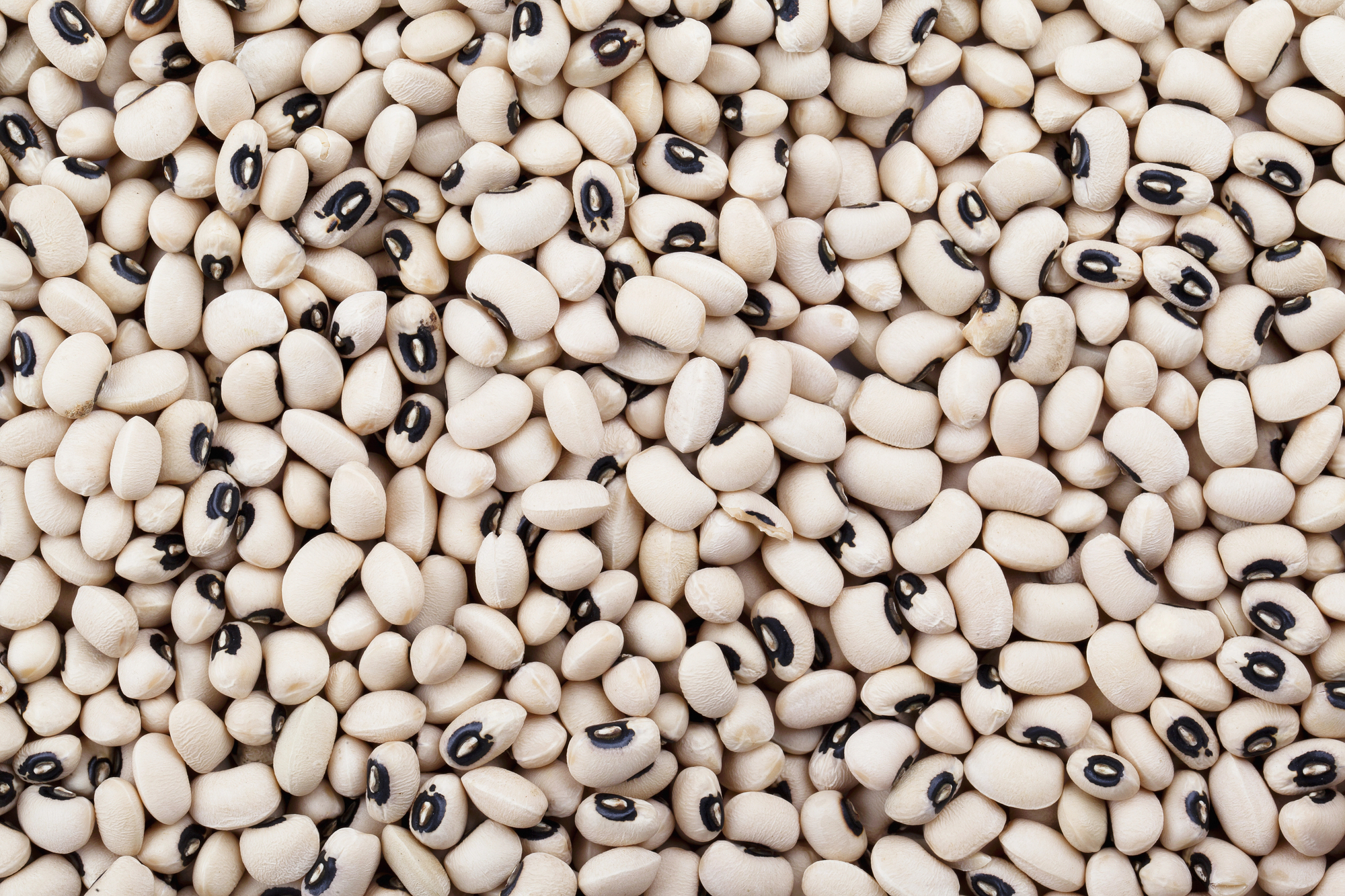 Black Eyed Pea