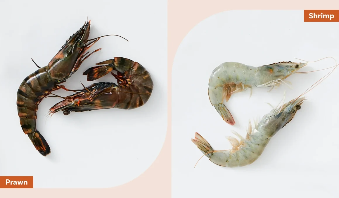 Difference Between Shrimp and Prawns