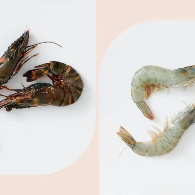 Difference Between Shrimp and Prawns