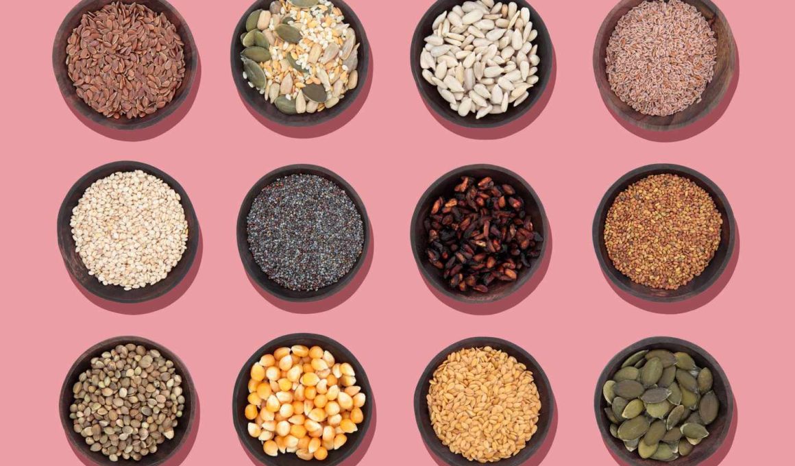 Types of Edible Seeds