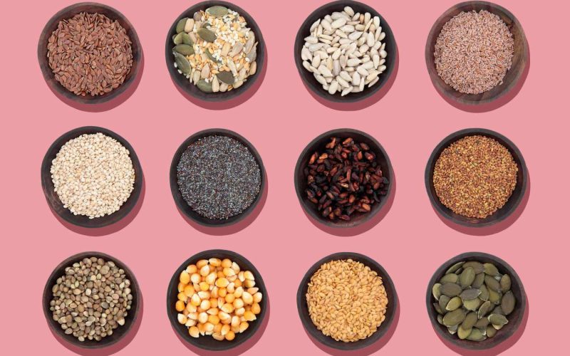 Types of Edible Seeds
