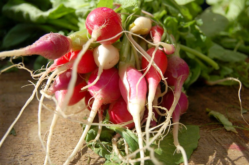 Radish