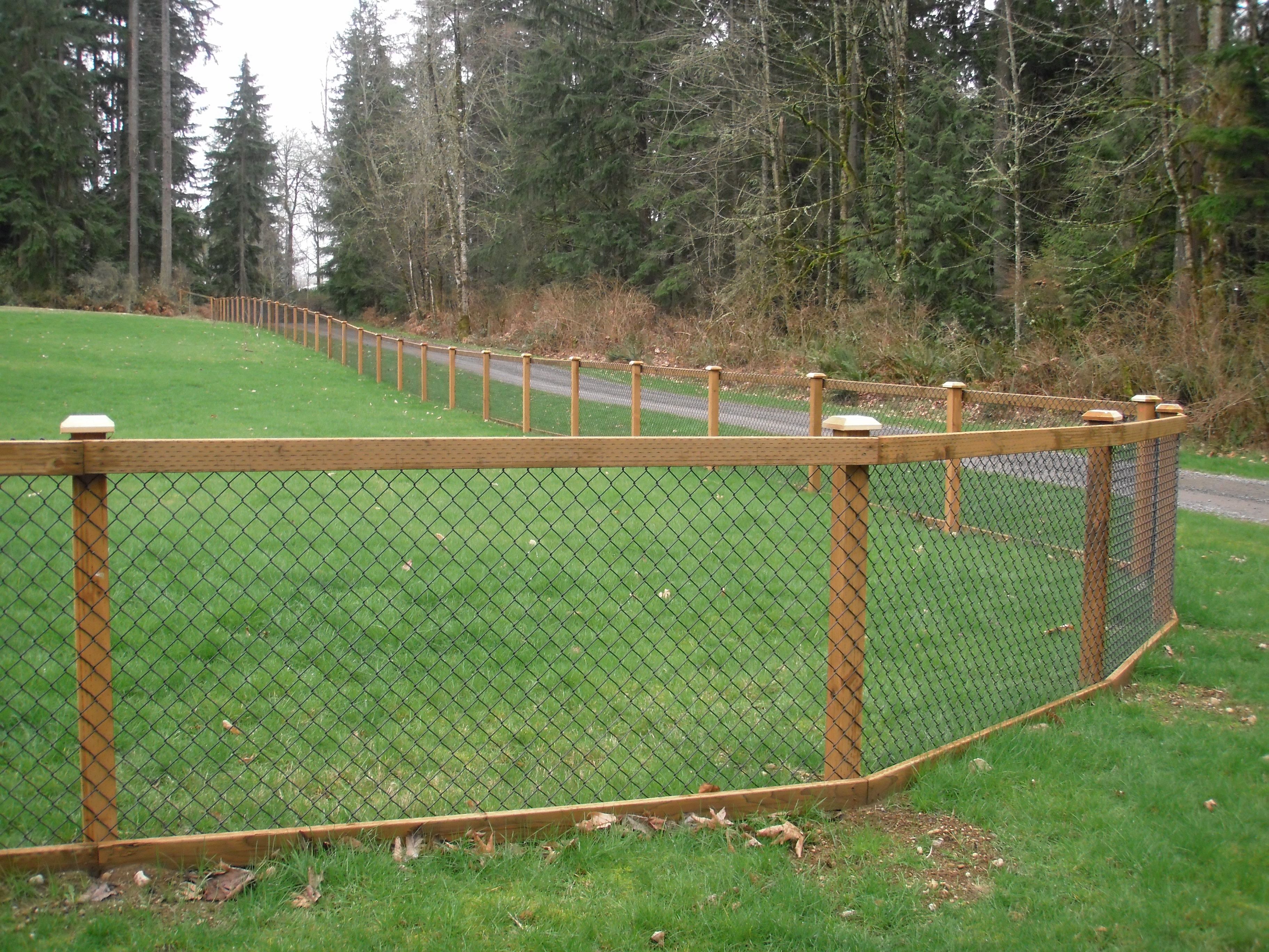 Chain Link Fence