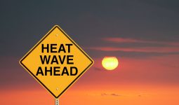 Dealing With the Texas Heat
