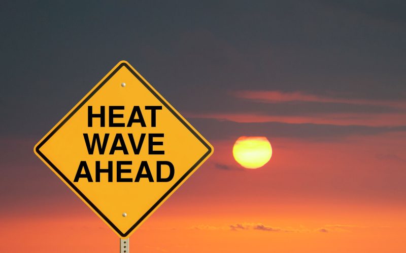 Dealing With the Texas Heat