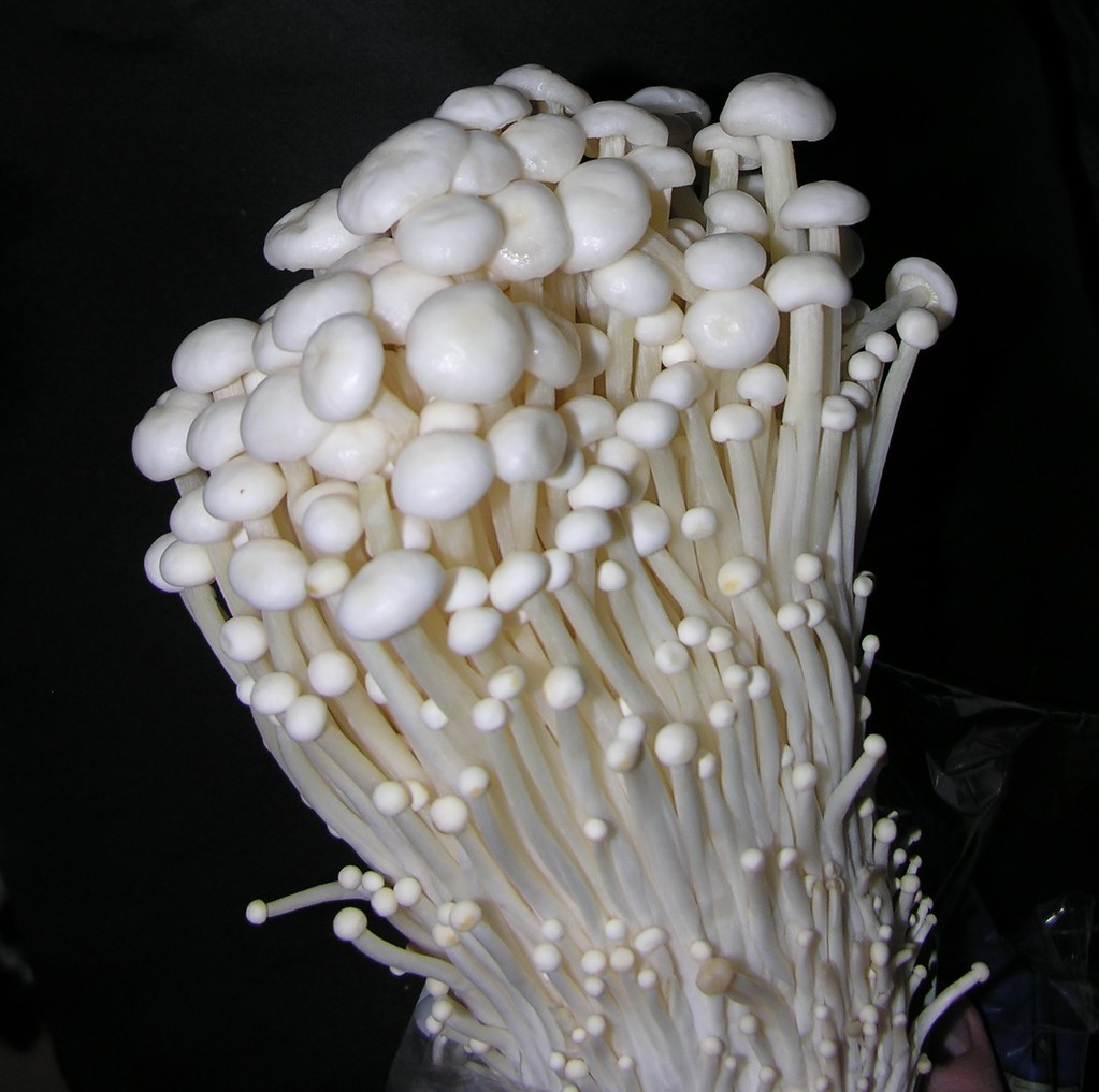 Enoki Mushroom