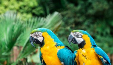Is the Zoo Open on Valentine's Day