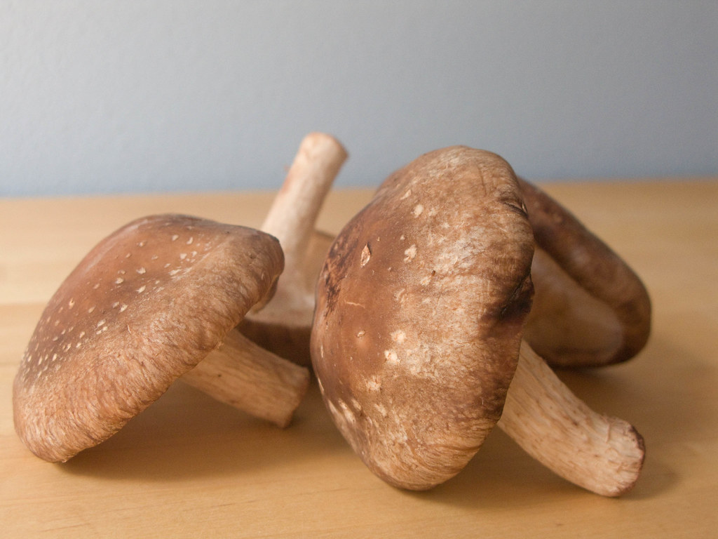 Shiitake Mushroom