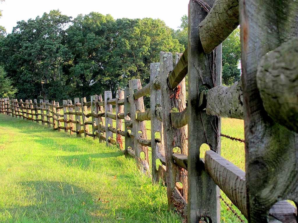 Split-Rail Fence