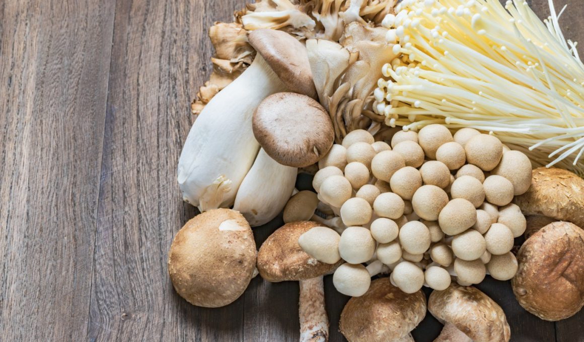 Different Types of Edible Mushrooms