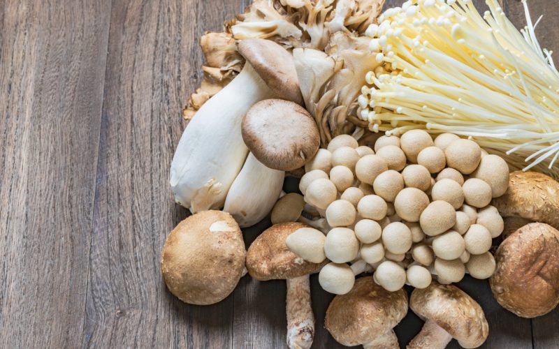 Different Types of Edible Mushrooms