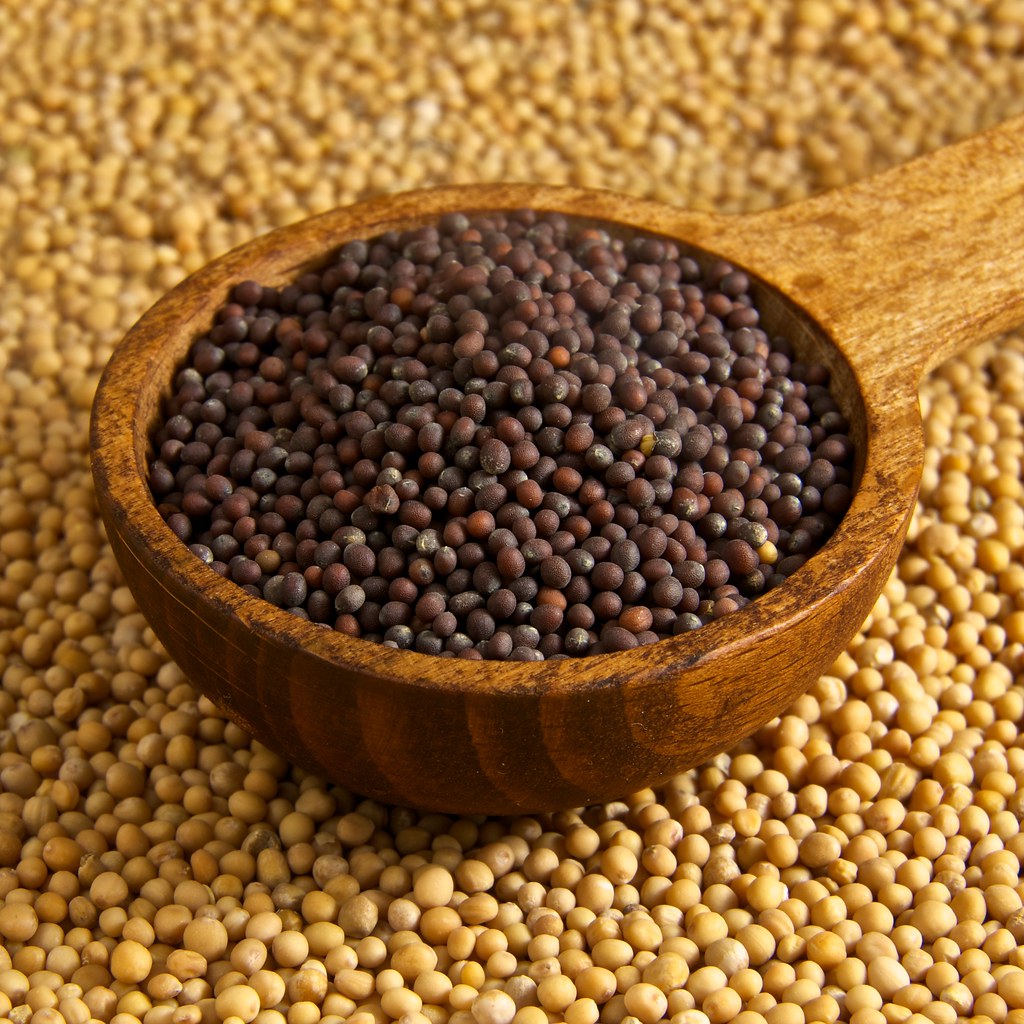 Mustard Seed