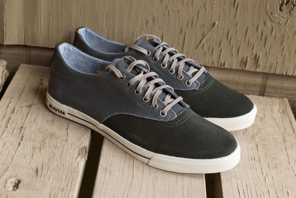 Plimsoll Sneakers