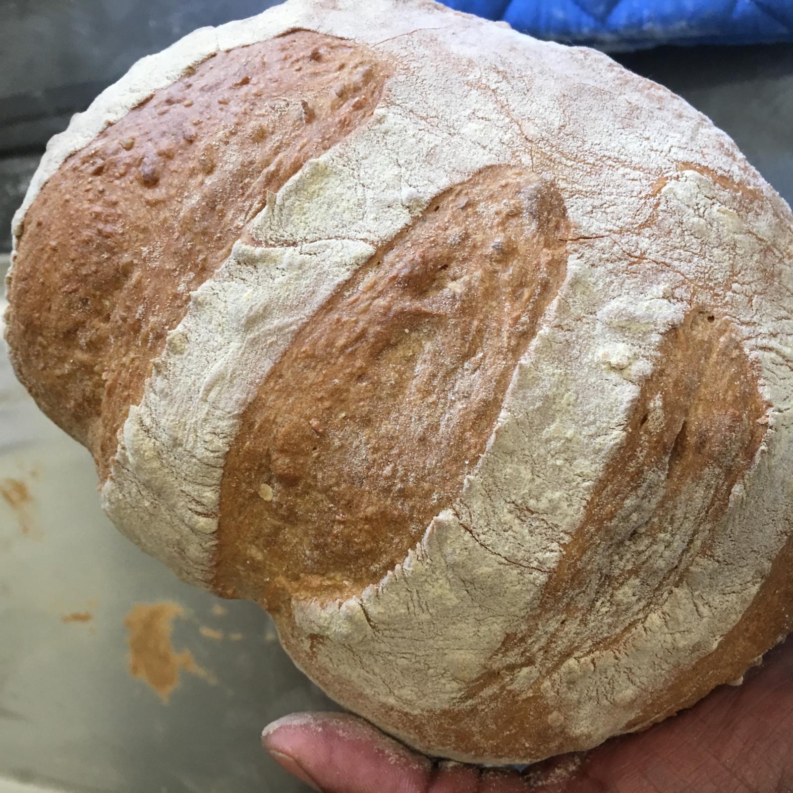 Boule