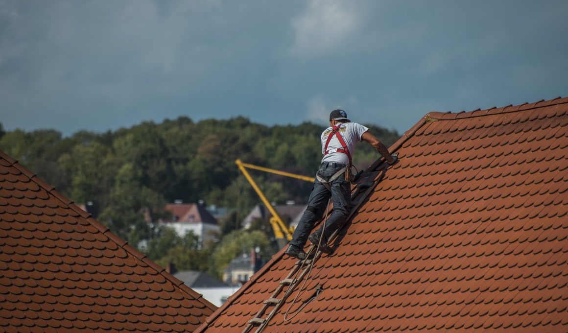 DIY vs. Professional: Knowing When to Call in the Roof Maintenance Experts