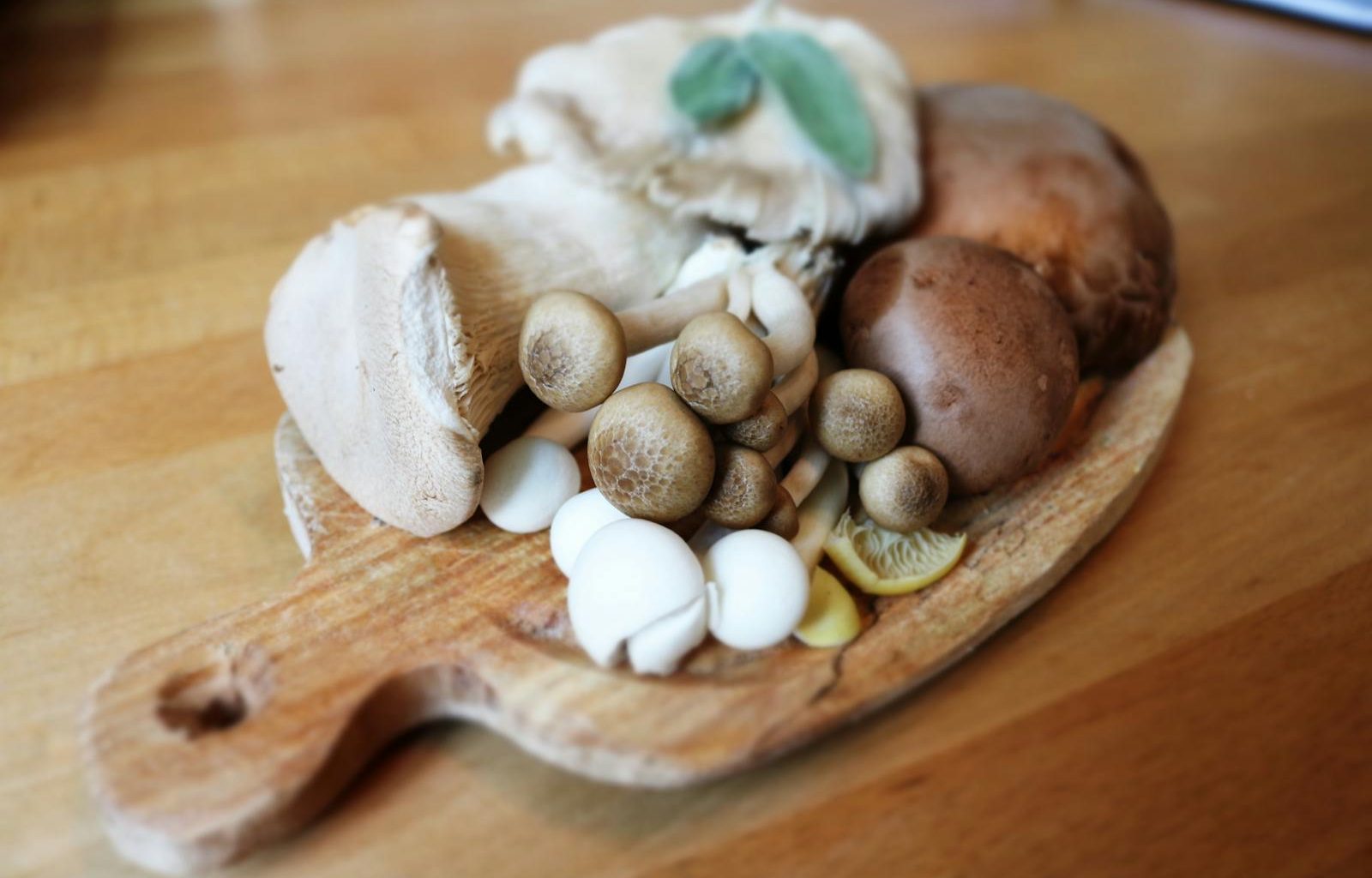 How to Tell if Mushrooms Are Bad