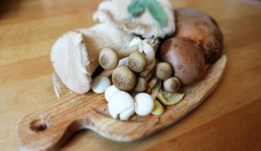 How to Tell if Mushrooms Are Bad