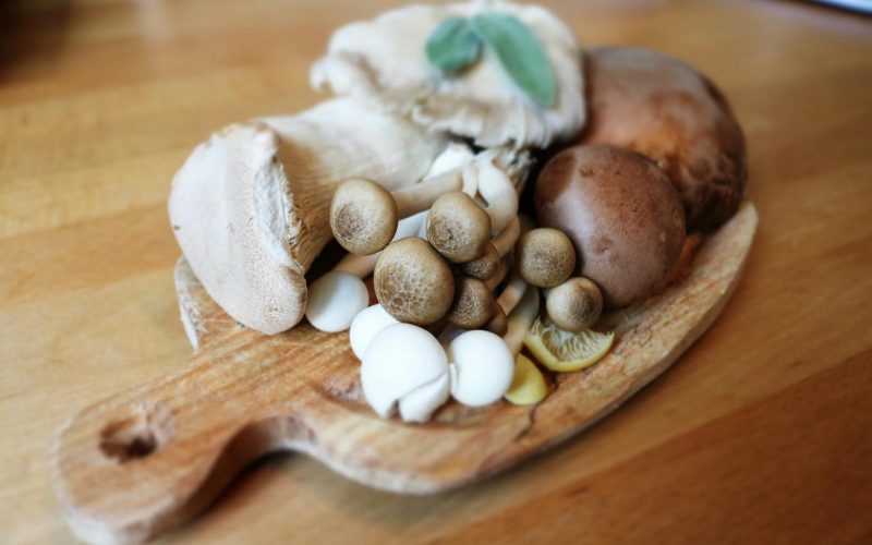 How to Tell if Mushrooms Are Bad