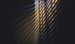 Window Blinds