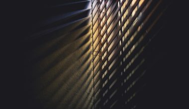 Window Blinds