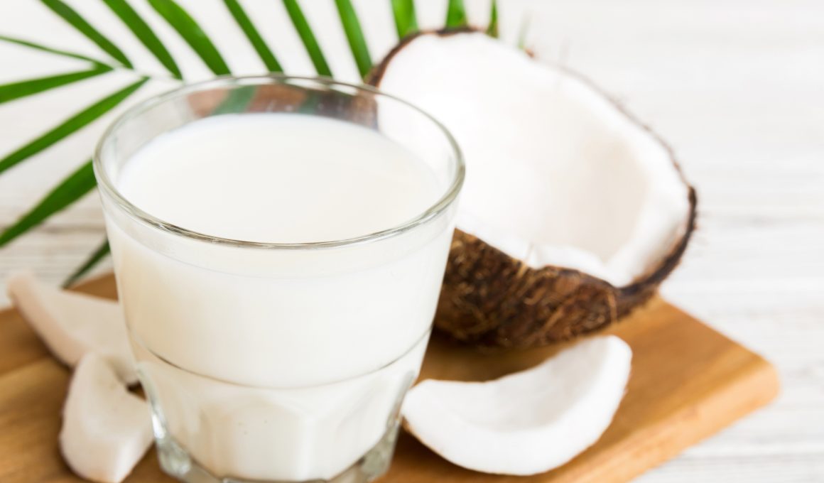 Best Substitutes for Coconut Milk