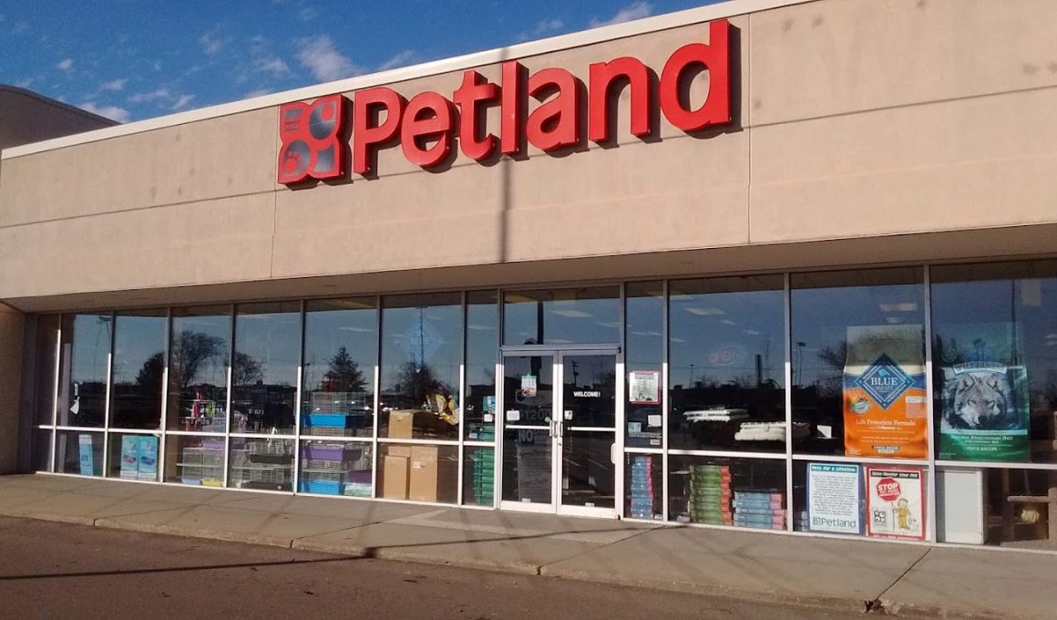 Is Petland Open on Memorial Day?