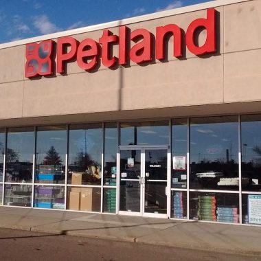 Is Petland Open on Memorial Day?