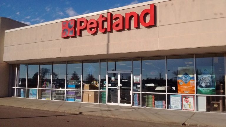 Is Petland Open on Memorial Day?