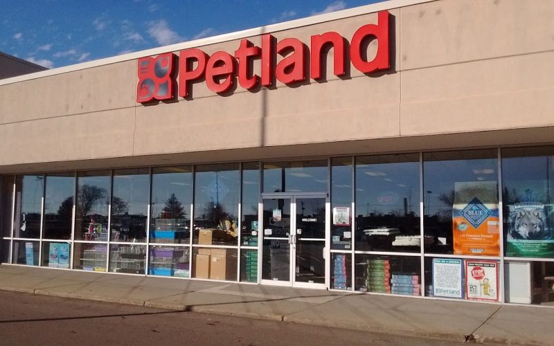 Is Petland Open on Memorial Day?