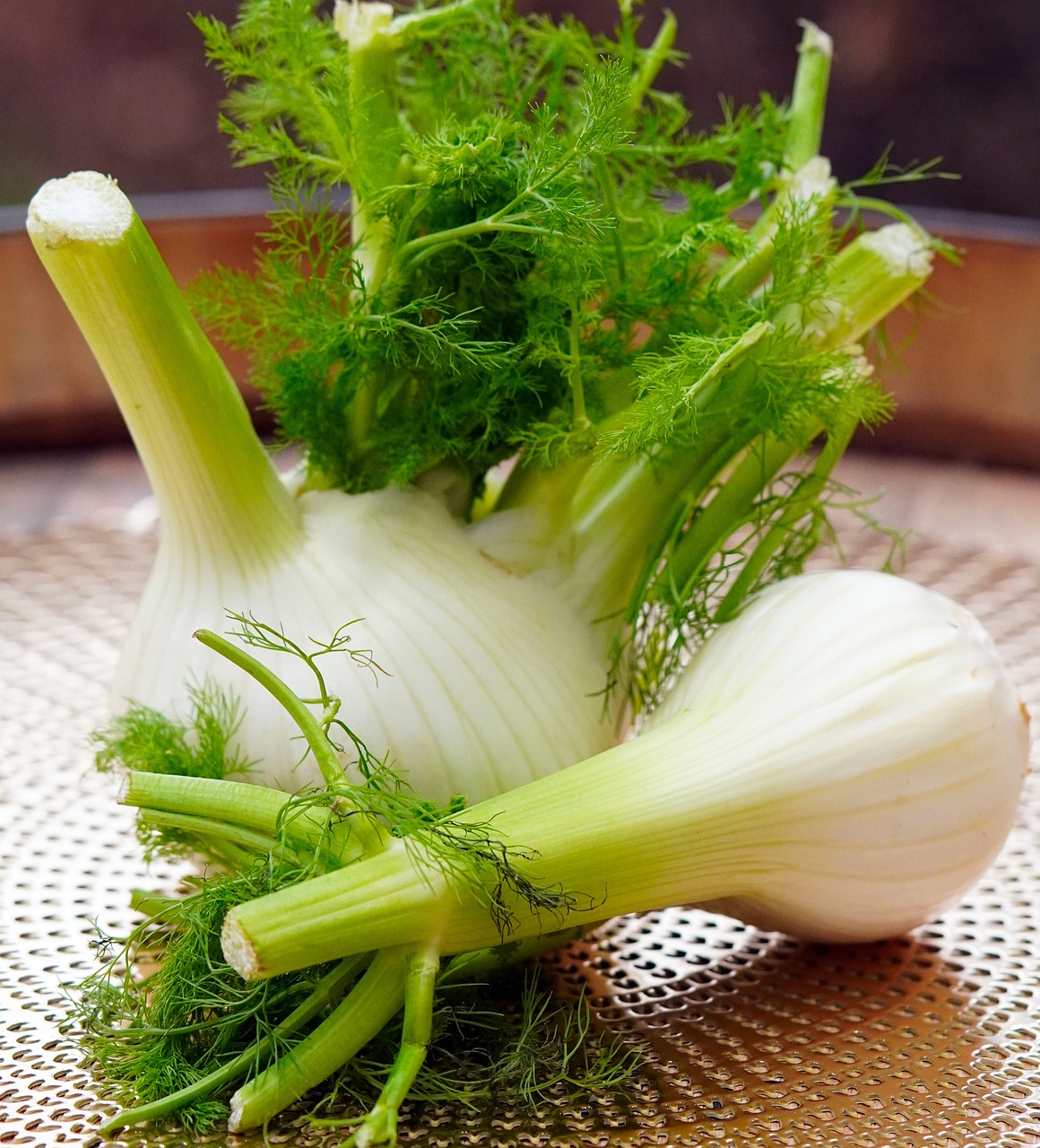 Fennel