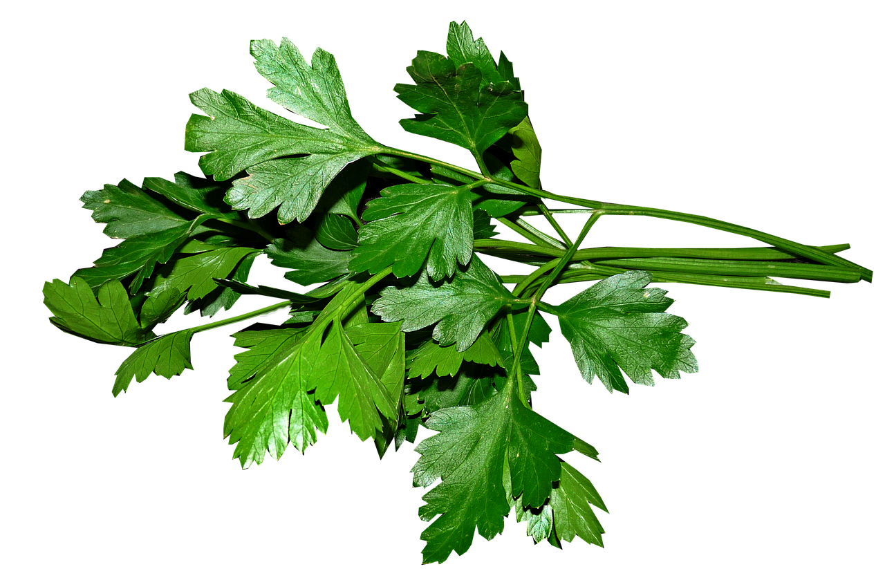 Parsley