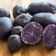 Blue and Purple Potato Varieties