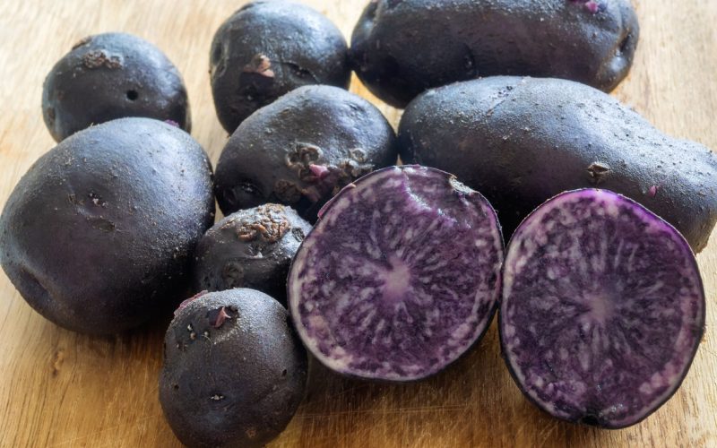 Blue and Purple Potato Varieties