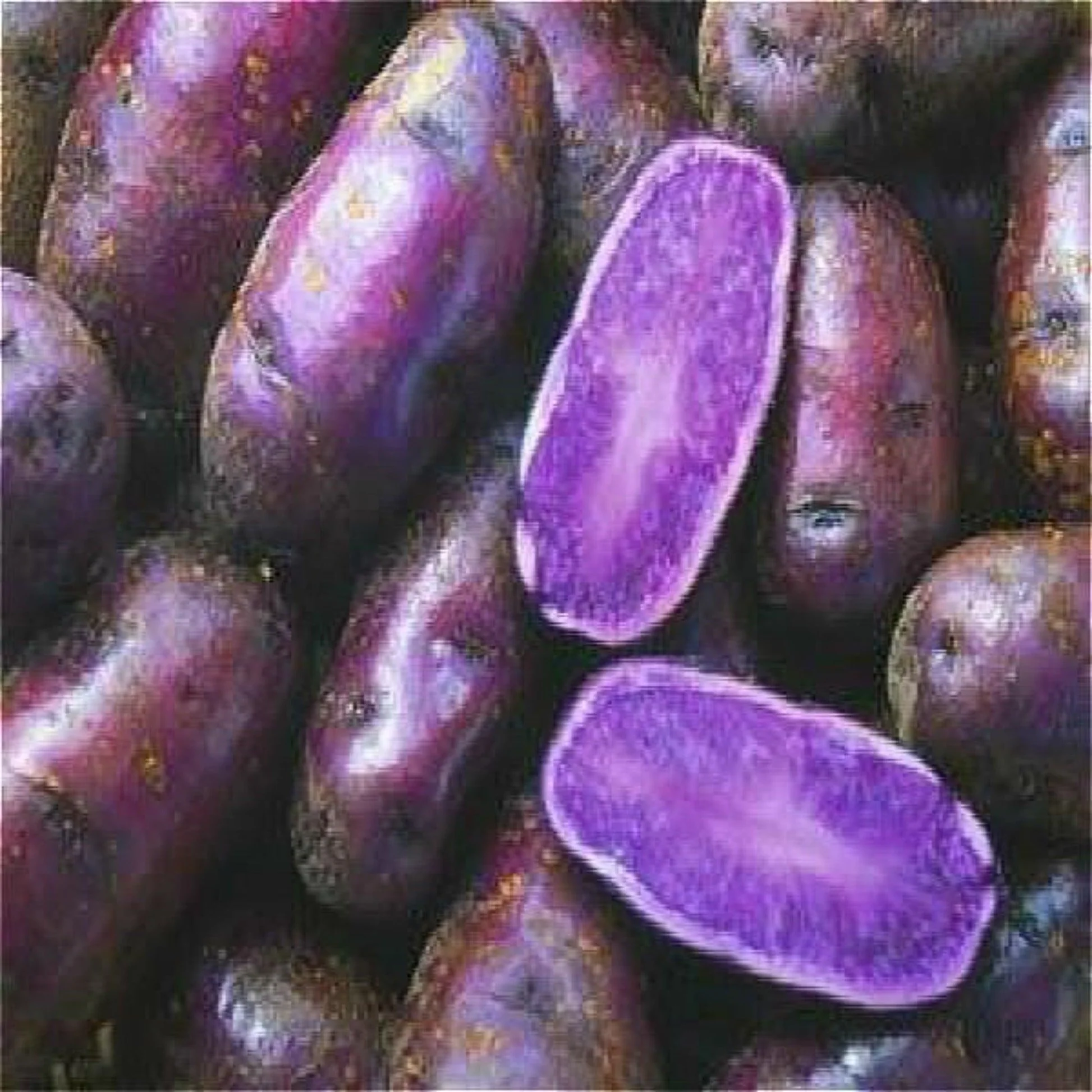 Peruvian Purple