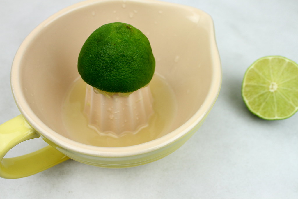 Citrus Juicer