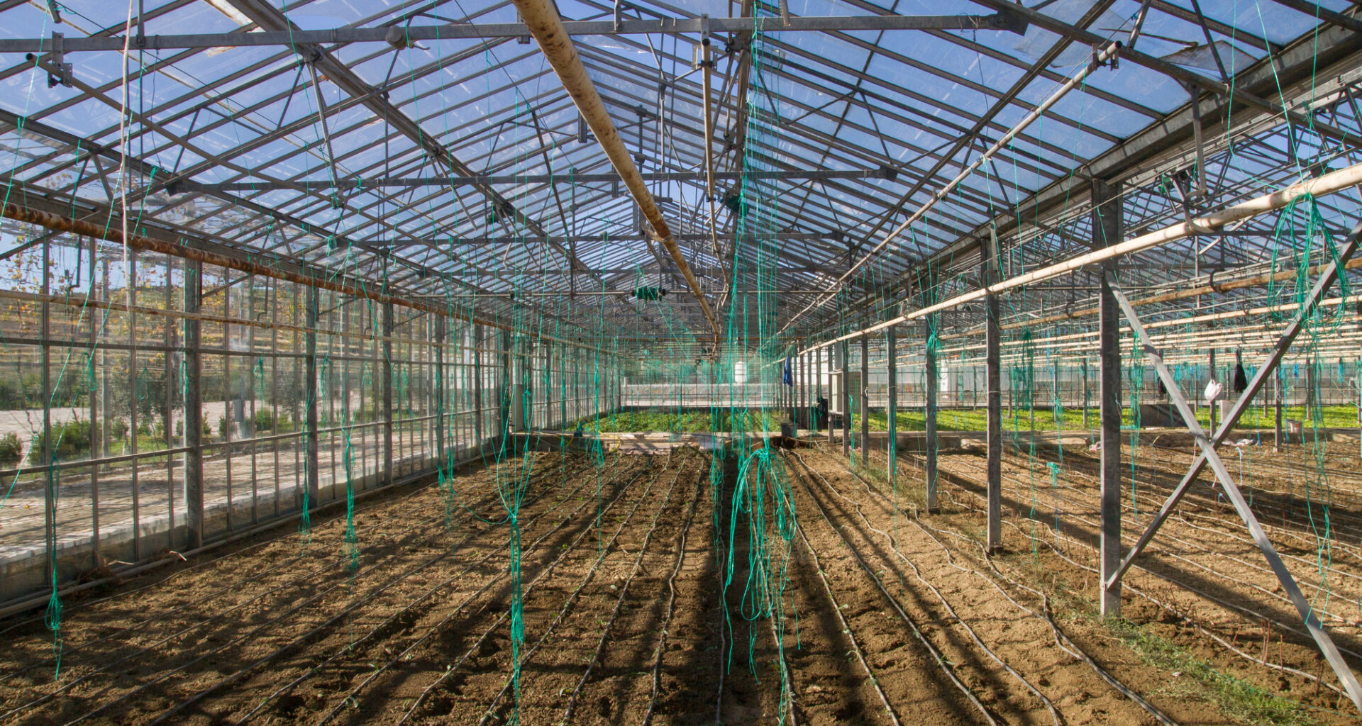 Best Portable Greenhouse