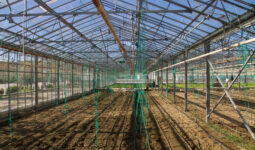 Best Portable Greenhouse