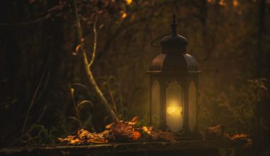 Transforming a Home for Fantasy Genre Lovers