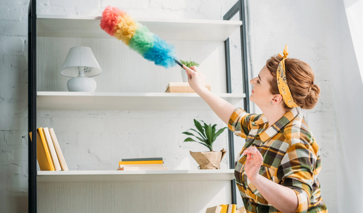 Best Tools for Dusting